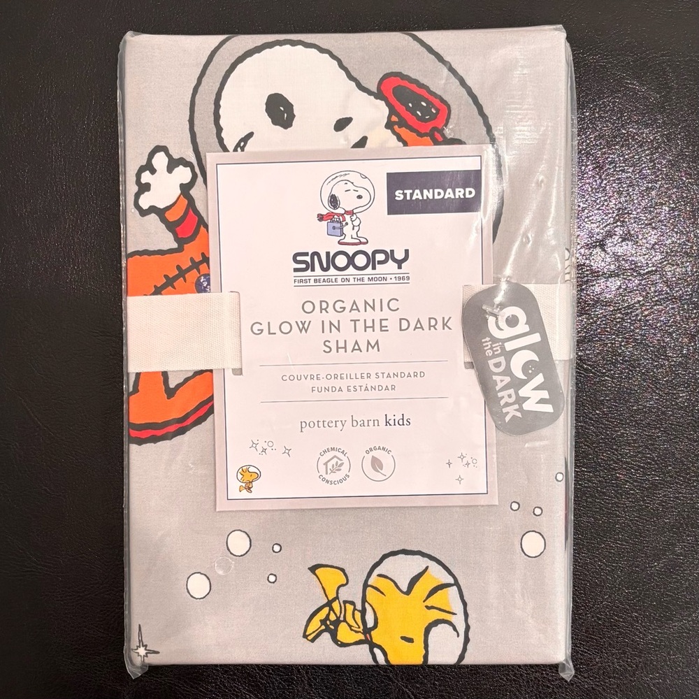 Pottery Barn Kids Snoopy in Space Organic Sham